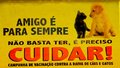 Campanha antirrábica mobilizará cerca de 500 pessoas