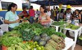 Prefeitura realiza feira para fomentar comercialização de produtos agroecológicos
