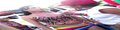 Parada Gay em Porto Velho espera 70 mil pessoas