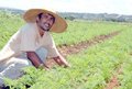 Acordo quer ampliar consumo de alimentos da agricultura familiar