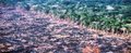 Crimes ambientais na Amazônia poderão se tornar inafiançáveis
