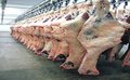 Risco no consumo de carne bovina brasileira é desprezível