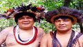 O cacique do século XXI
