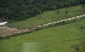  Governo de Rondônia espera autorização para construção de estrada parque