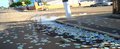 Eleições 2010: As primeiras imagens do 2º turno em Porto Velho-RO