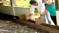 Prefeitura incentiva Agroindústrias no Baixo Madeira