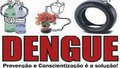 Borra de café e alevinos de lambari no combate à dengue 