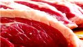 Falta de fiscais prejudica exportações de carne, alerta Acir Gurgacz