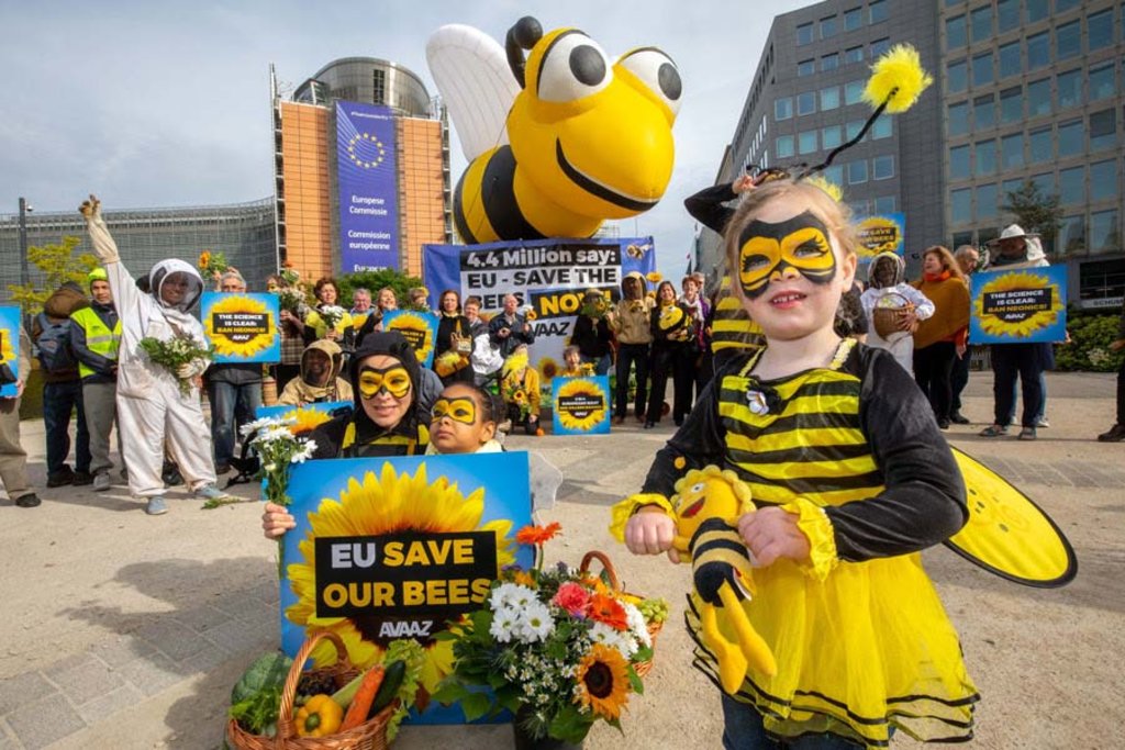 É possível salvar as abelhas? Petição com 5 milhões de assinaturas diz que sim. - Gente de Opinião