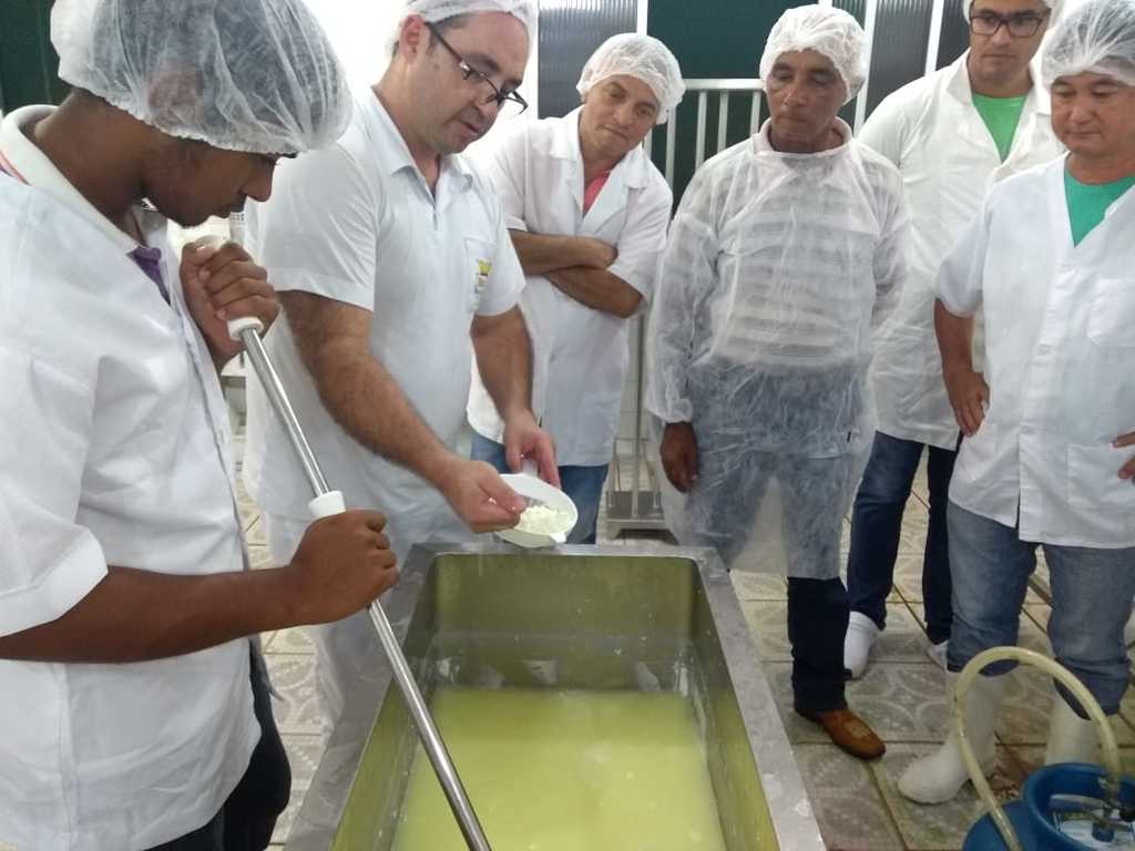 Agroindústrias de Colorado do Oeste na fabricação de queijos - Gente de Opinião