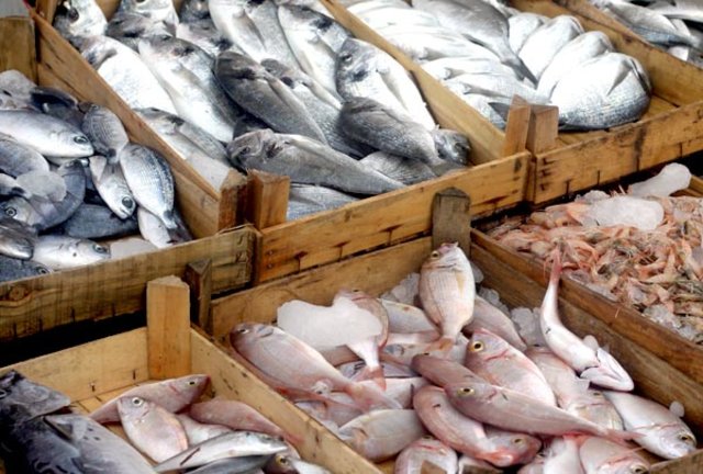 Suspensa a exportação de pescado do Brasil para a União Europeia - Gente de Opinião