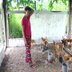 Agricultura familiar gerando renda e emprego em Candeias do Jamari (VÍDEO)