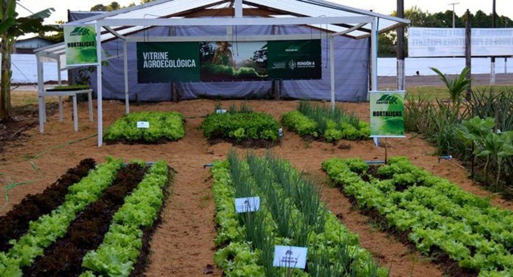 Emater-RO mostrará perspectivas para setor produtivo durante 7ª Rondônia Rural Show - Gente de Opinião