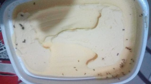 Insetos presentes em margarina que estava sendo comercializada em Porto Velho - Gente de Opinião