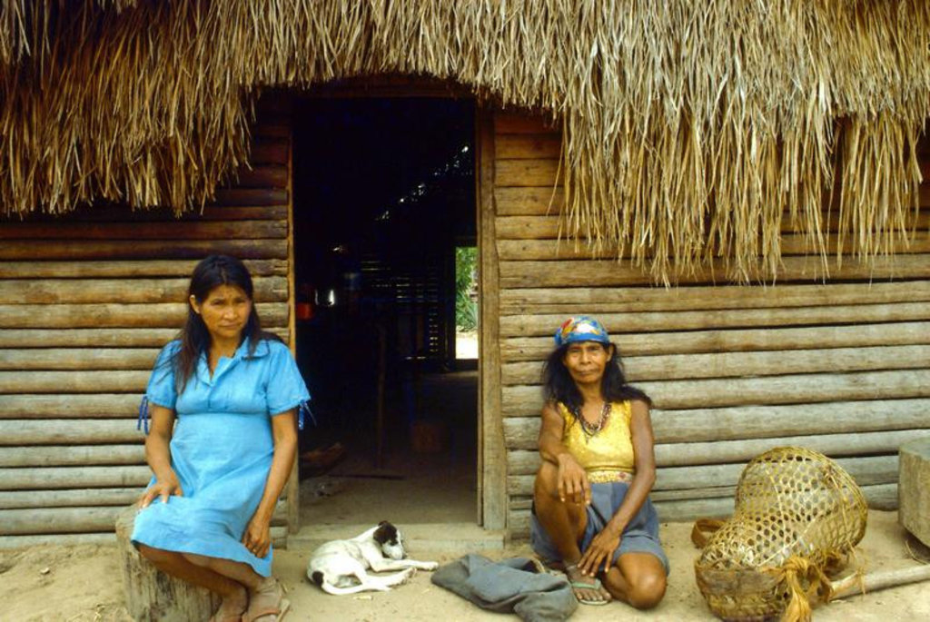 Cinzas Nambikwara na História de Rondônia - Gente de Opinião