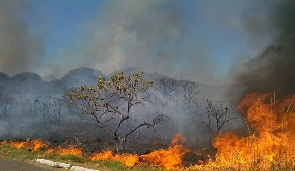 Os incêndios em áreas florestais e de lavoura já são 216 mil em todo o país  (Jose Cruz/Agência Brasil) - Gente de Opinião