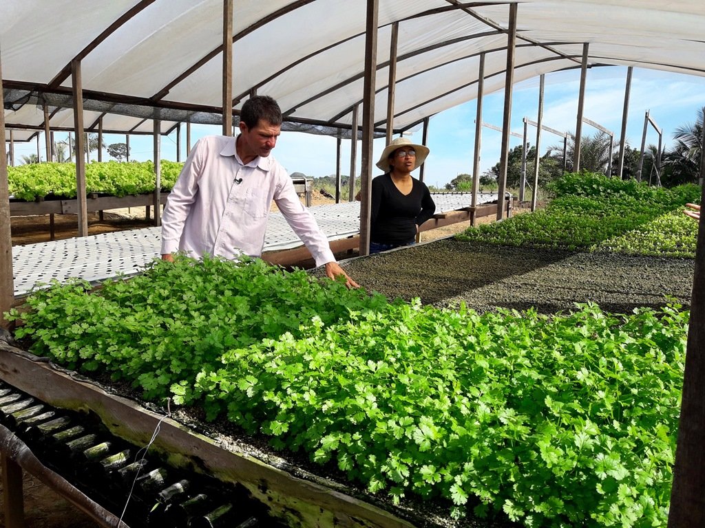 Agricultura familiar é destaque no reassentamento São Domingos - Gente de Opinião