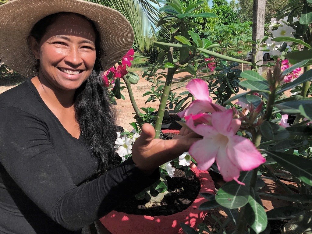 Rosas do Deserto viram renda extra no reassentamento São Domingos - Gente de Opinião