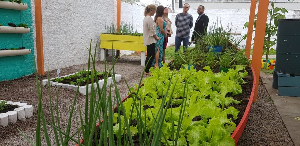 Alunos da Rio Madeira colhem produtos da horta orgânica plantada por eles - Gente de Opinião