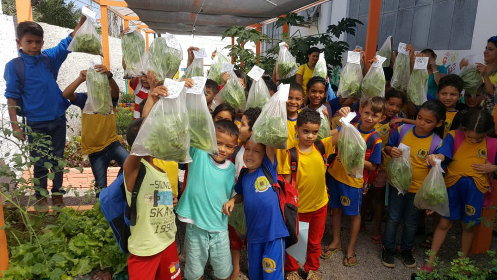 Alunos da Rio Madeira colhem produtos da horta orgânica plantada por eles - Gente de Opinião
