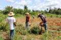 Agricultores familiares de RO. Receberão apoio para regularização ambiental