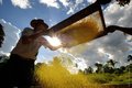 Dia do agricultor é comemorado com evento nacional