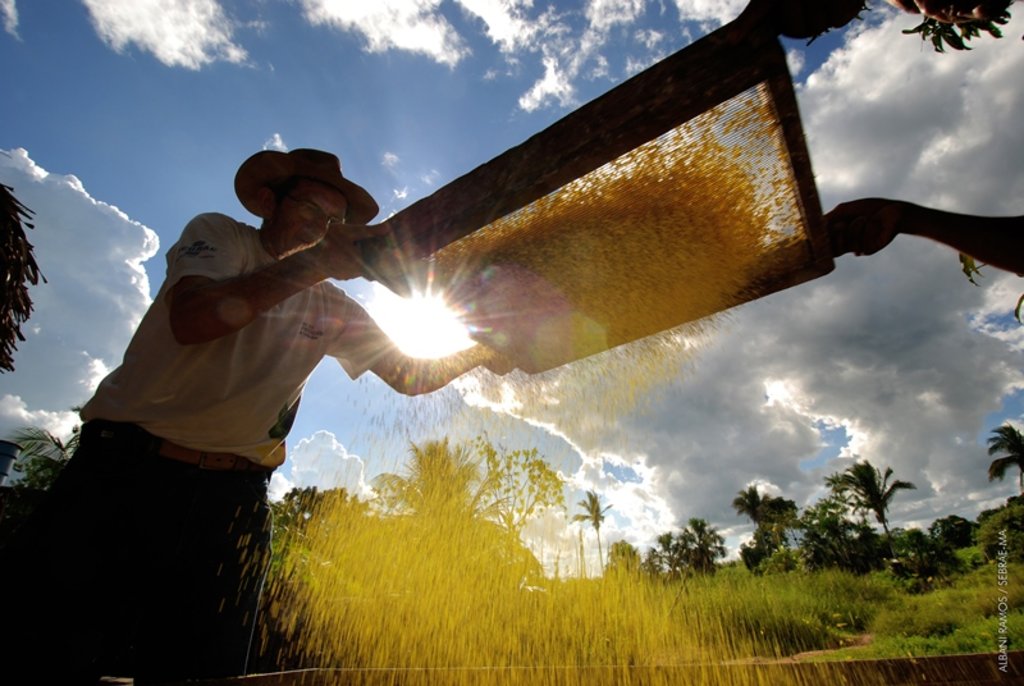 Dia do agricultor é comemorado com evento nacional - Gente de Opinião