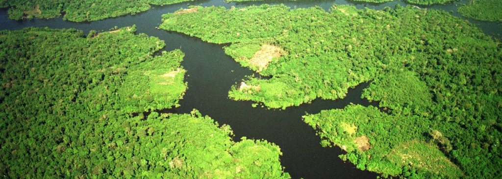 Estudo mostra elo de empresas que devastam a Floresta Amazônica com paraísos fiscais  - Gente de Opinião