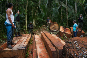 Kanindé lança campanha internacional para salvar a Terra Indígena Uru-eu-wau-wau - Gente de Opinião