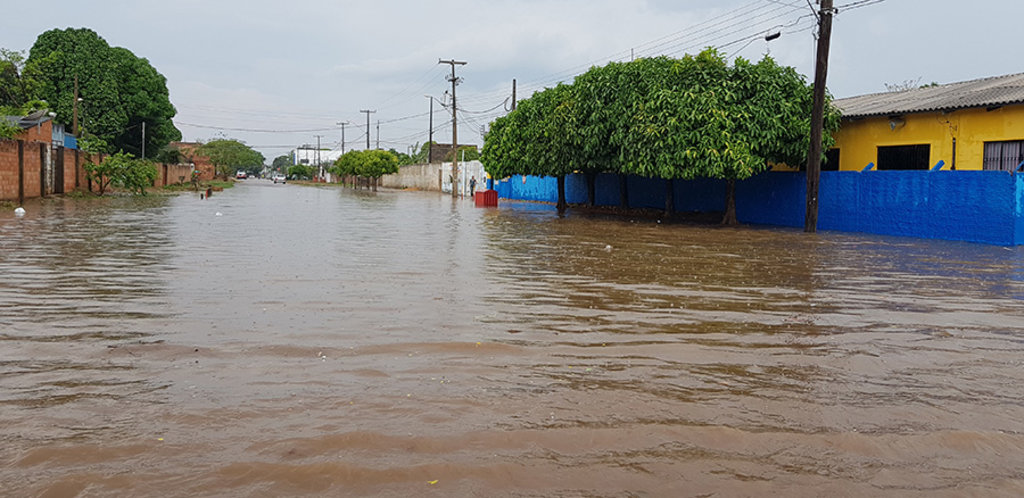 Chuva com ventos fortes derrubam árvores e alagam ruas de Porto Velho - RO. - Gente de Opinião