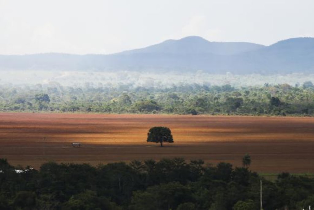 Dia do Cerrado passou em branco no País - Gente de Opinião