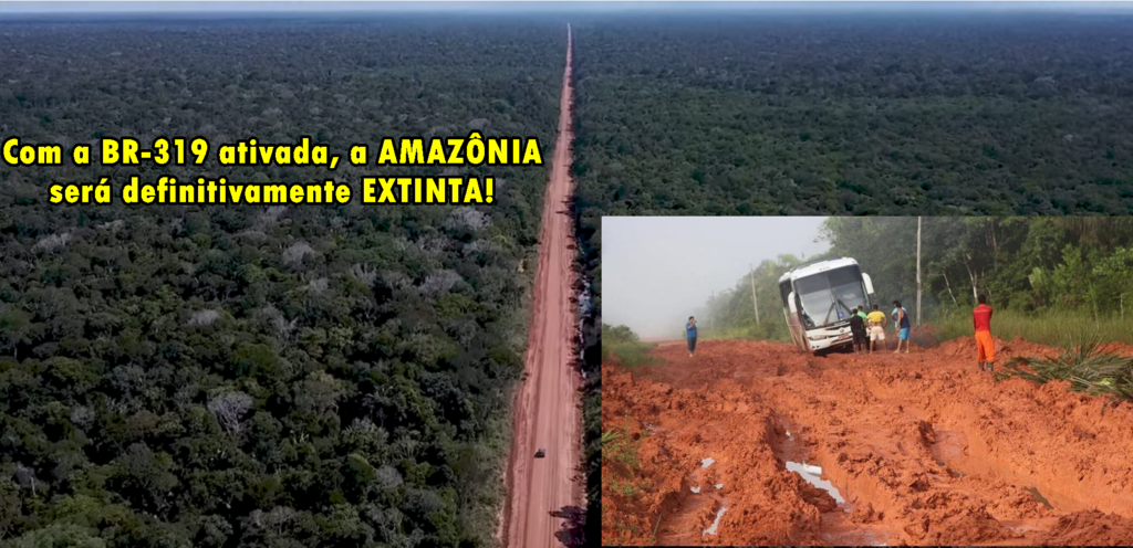  BR-319, uma estrada inútil - Por Professor Nazareno - Gente de Opinião