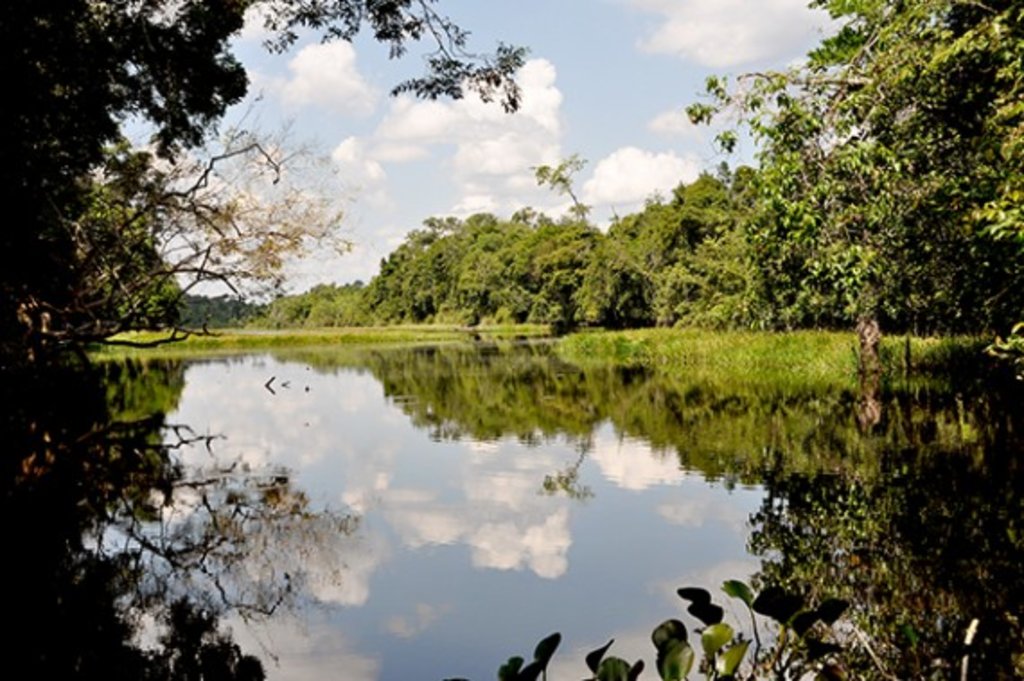 Governo pede extinção de reserva da Gleba Soldado da Borracha e ALE acrescenta emenda incluindo outras 10    - Gente de Opinião