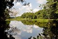 Governo pede extinção de reserva da Gleba Soldado da Borracha e ALE acrescenta emenda incluindo outras 10   