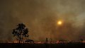 Incêndios na Amazônia liberaram 4 vezes mais CO2 que estimado