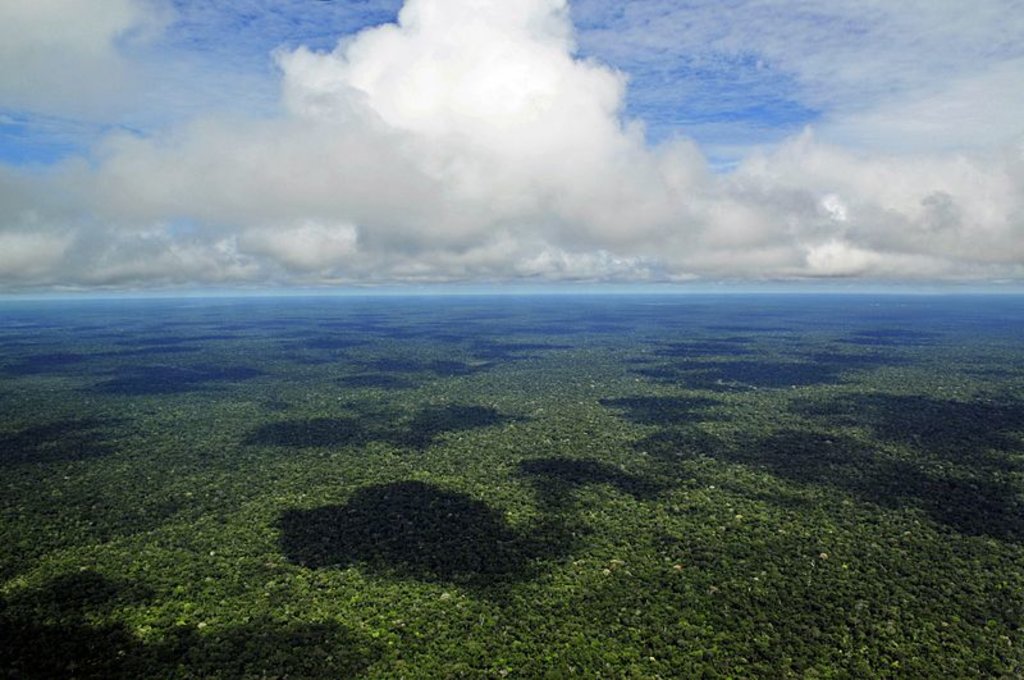 Chove menos no Sul da Amazônia   - Gente de Opinião