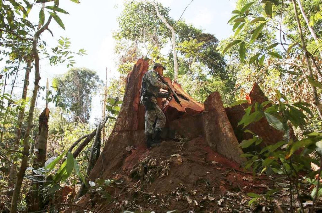 Sofre, Amazônia - Por Lúcio Flávio PInto - Gente de Opinião