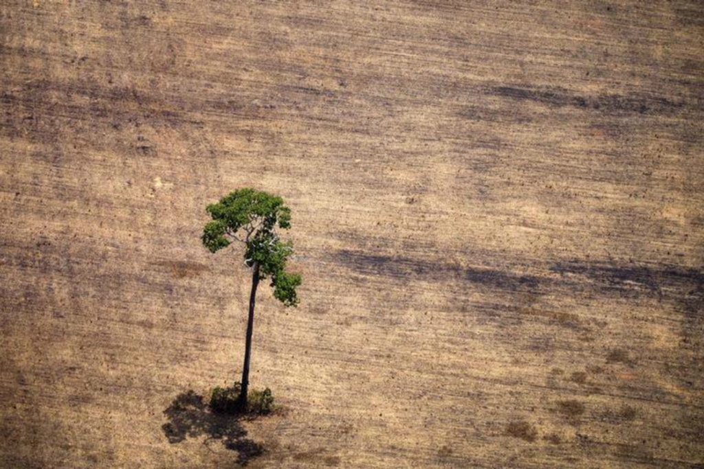  "A natureza não tem voz, precisa de advogados"  - Gente de Opinião