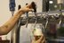 Nova medida: Cervejas terão rótulos com os ingredientes usados na fabricação
