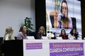 Câmara: Debatedoras criticam guarda compartilhada de filhos em casos de violência contra a mulher