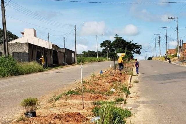 Ji Paraná: Semeia e Juizado Especial formam parceria para arborização urbana - Gente de Opinião