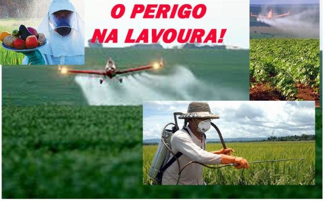 ESTAMOS COMENDO VENENO? O EXAGERO E OS PERIGOS  DOS AGROTÓXICOS TAMBÉM CHEGARAM A RONDÔNIA - ROCHA E A FÓRMULA DA COCA COLA - Gente de Opinião