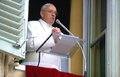 Papa Francisco, em oração, cita vítimas da tragédia de Brumadinho