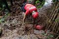 Brumadinho: Sobe para 160 número de mortos identificados