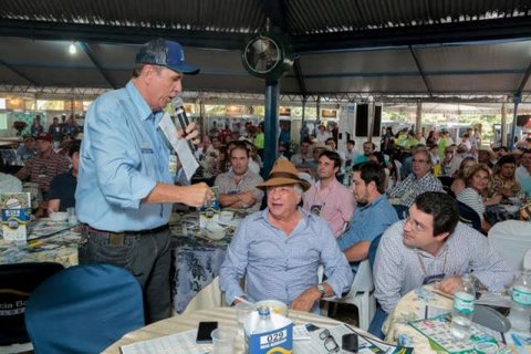 Estância Bahia Leilões aquece os martelos para o Mega Leilão 10.019 em Água Boa e Cuiabá