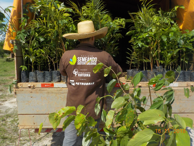 Projeto Semeando Sustentabilidade 4 já distribuiu mais de 180 mil mudas para recuperação de áreas - Gente de Opinião