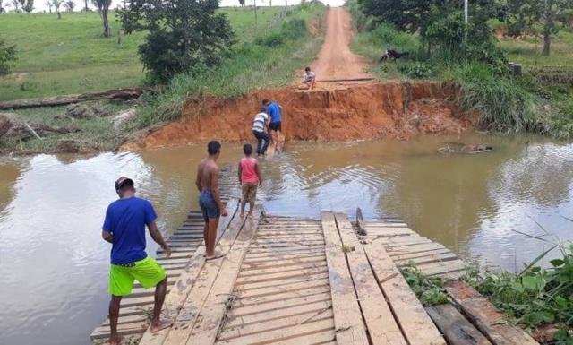 Foto: Divulgação/Polícia Ambiental - Gente de Opinião