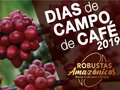Embrapa apresenta novas cultivares híbridas de café em dias de campo em Rondônia e Acre
