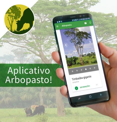 A Embrapa e a UFMS disponibilizam  aplicativo que ajuda a escolher a árvore certa para a pastagem - Gente de Opinião