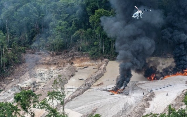 Jair Bolsonaro desautoriza operação em andamento do Ibama contra madeira ilegal em RO - Gente de Opinião